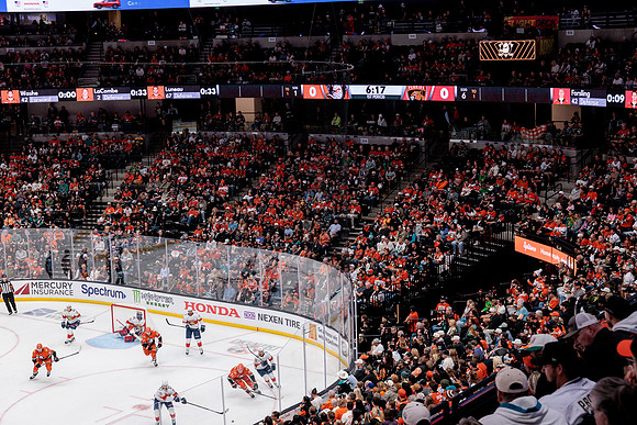 100426_ANAHEIM_DUCKS_RMR18972