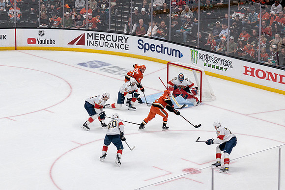 100426_ANAHEIM_DUCKS_RMR19704