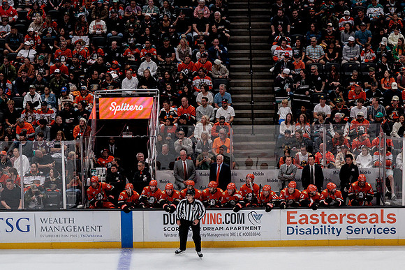 100426_ANAHEIM_DUCKS_RMR18804