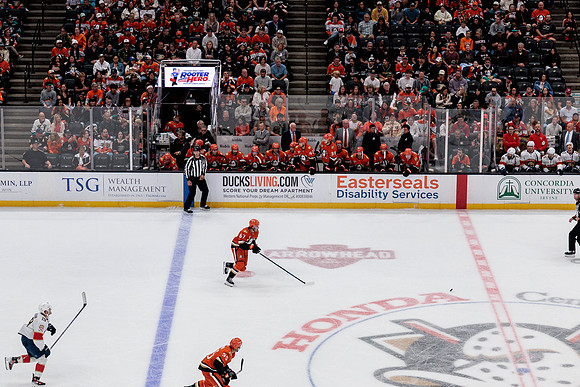 100426_ANAHEIM_DUCKS_RMR12839