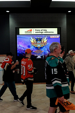 100426_ANAHEIM_DUCKS_RMR14819