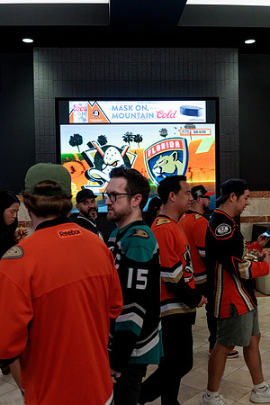 100426_ANAHEIM_DUCKS_RMR13191