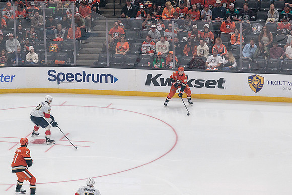 100426_ANAHEIM_DUCKS_RMR10920