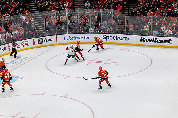 100426_ANAHEIM_DUCKS_RMR17283