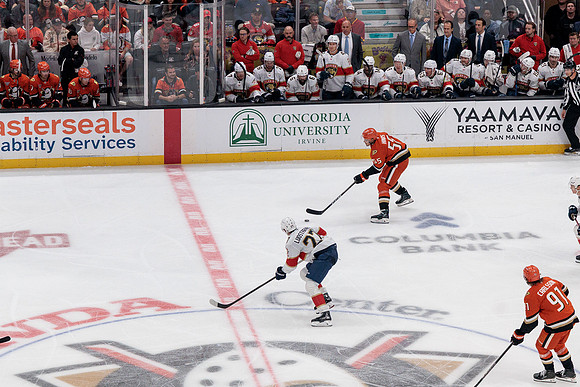 100426_ANAHEIM_DUCKS_RMR11774