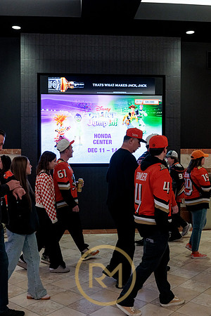 100426_ANAHEIM_DUCKS_RMR12000