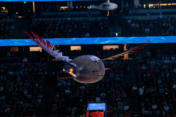 100426_ANAHEIM_DUCKS_RMR15925