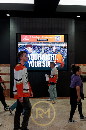 100426_ANAHEIM_DUCKS_RMR12231