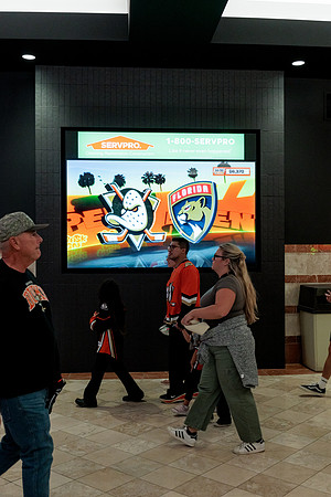 100426_ANAHEIM_DUCKS_RMR12518