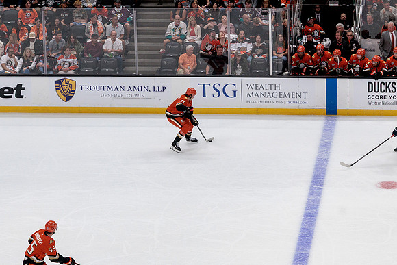 100426_ANAHEIM_DUCKS_RMR19626