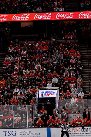 100426_ANAHEIM_DUCKS_RMR10151