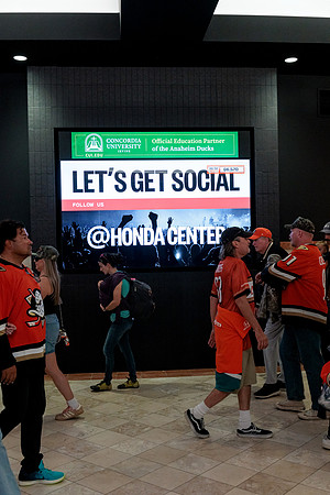 100426_ANAHEIM_DUCKS_RMR13405