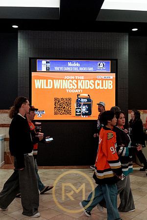 100426_ANAHEIM_DUCKS_RMR12312