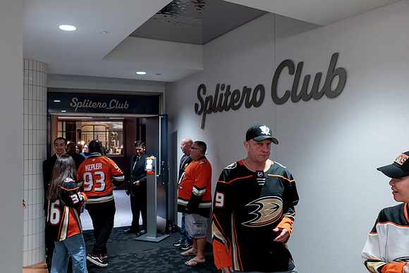 100426_ANAHEIM_DUCKS_RMR13436