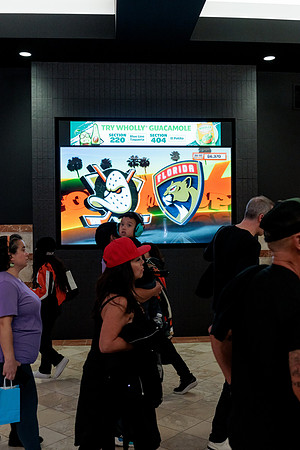 100426_ANAHEIM_DUCKS_RMR12561