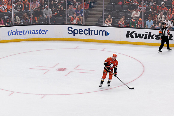 100426_ANAHEIM_DUCKS_RMR10208