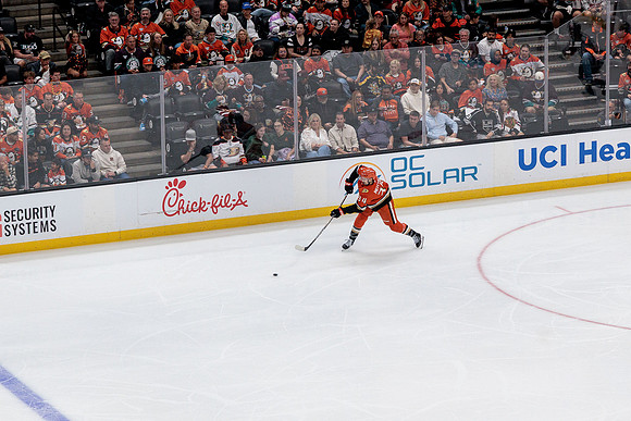 100426_ANAHEIM_DUCKS_RMR11976