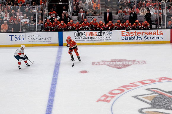 100426_ANAHEIM_DUCKS_RMR19607