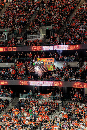100426_ANAHEIM_DUCKS_RMR16654