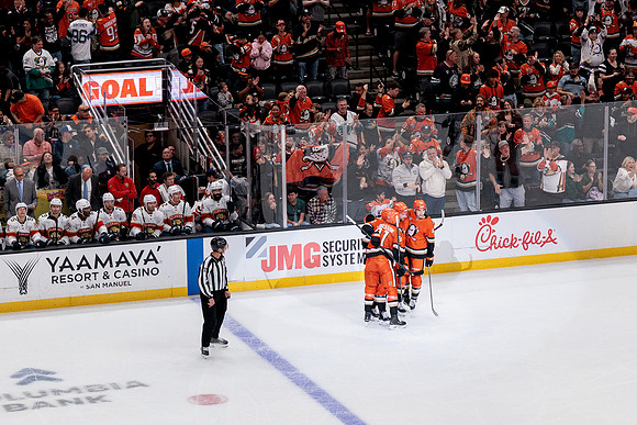 100426_ANAHEIM_DUCKS_RMR19874