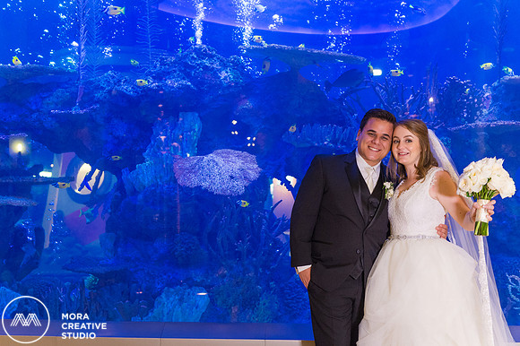 WEDDING_111415_01216