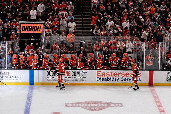 100426_ANAHEIM_DUCKS_RMR19987
