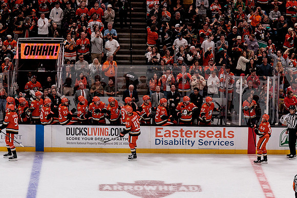 100426_ANAHEIM_DUCKS_RMR10005