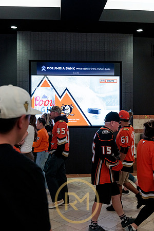 100426_ANAHEIM_DUCKS_RMR12100