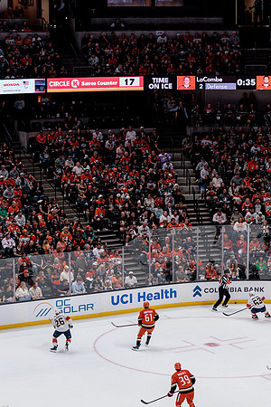 100426_ANAHEIM_DUCKS_RMR12874