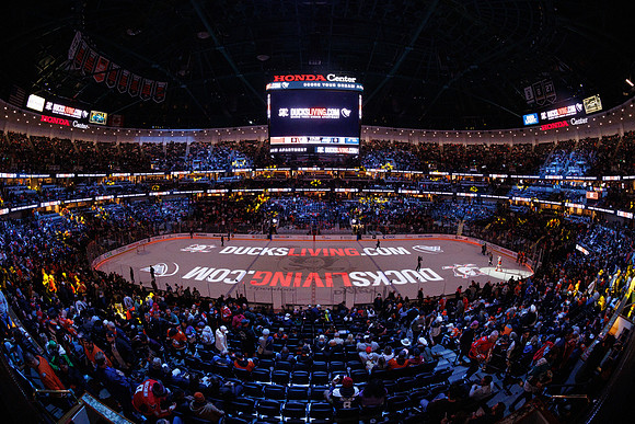 031125_ANAHEIM_DUCKS_0225