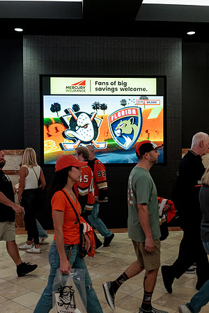 100426_ANAHEIM_DUCKS_RMR13115