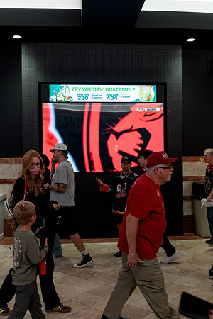 100426_ANAHEIM_DUCKS_RMR12579