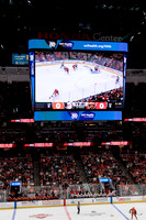 100426_ANAHEIM_DUCKS_RMR16832