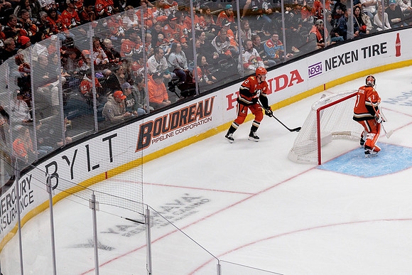 100426_ANAHEIM_DUCKS_RMR19297