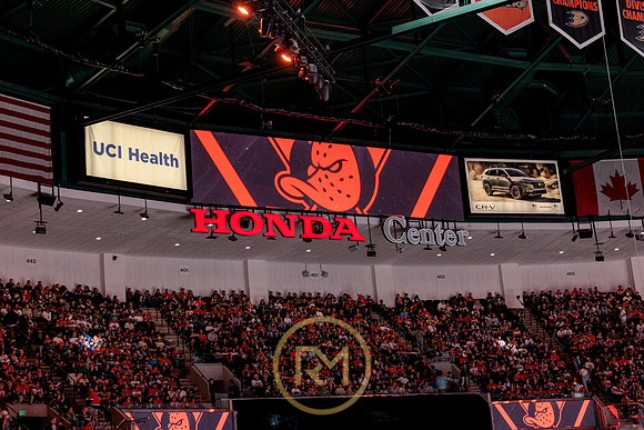 100426_ANAHEIM_DUCKS_RMR17847