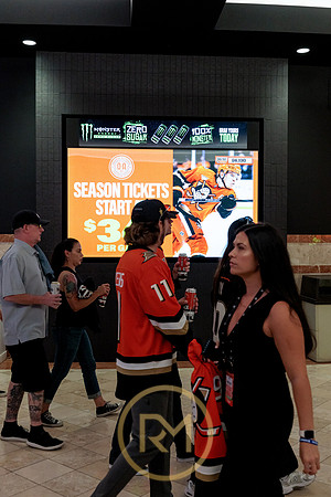 100426_ANAHEIM_DUCKS_RMR11972