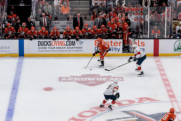 100426_ANAHEIM_DUCKS_RMR18053