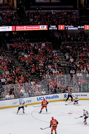 100426_ANAHEIM_DUCKS_RMR12880A