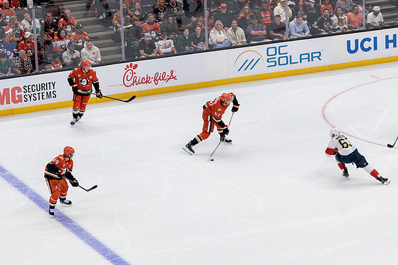 100426_ANAHEIM_DUCKS_RMR18390
