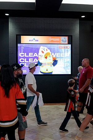 100426_ANAHEIM_DUCKS_RMR14248
