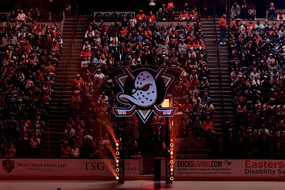 100426_ANAHEIM_DUCKS_RMR16507