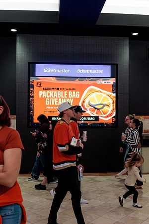 100426_ANAHEIM_DUCKS_RMR12849