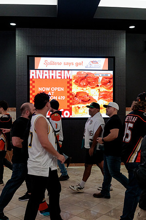 100426_ANAHEIM_DUCKS_RMR12673