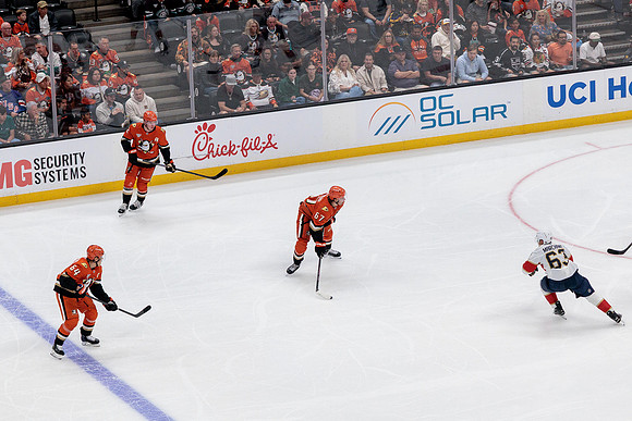100426_ANAHEIM_DUCKS_RMR18386