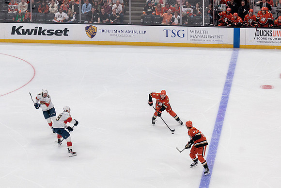 100426_ANAHEIM_DUCKS_RMR11682