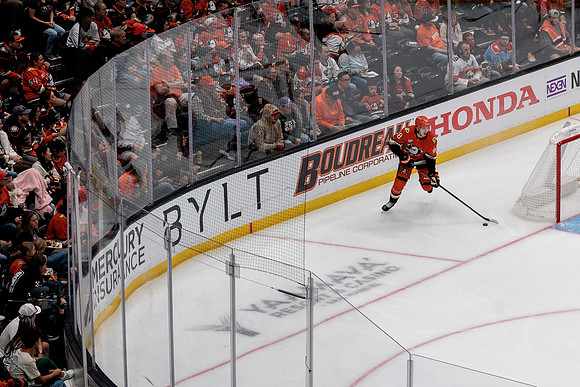 100426_ANAHEIM_DUCKS_RMR17593