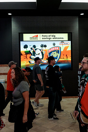 100426_ANAHEIM_DUCKS_RMR13172