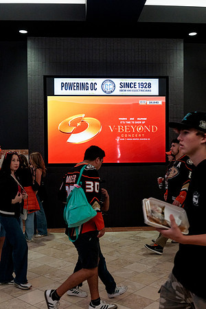 100426_ANAHEIM_DUCKS_RMR14696
