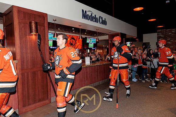 100426_ANAHEIM_DUCKS_RMR15150