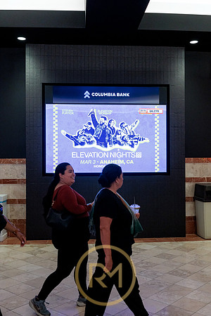 100426_ANAHEIM_DUCKS_RMR12132
